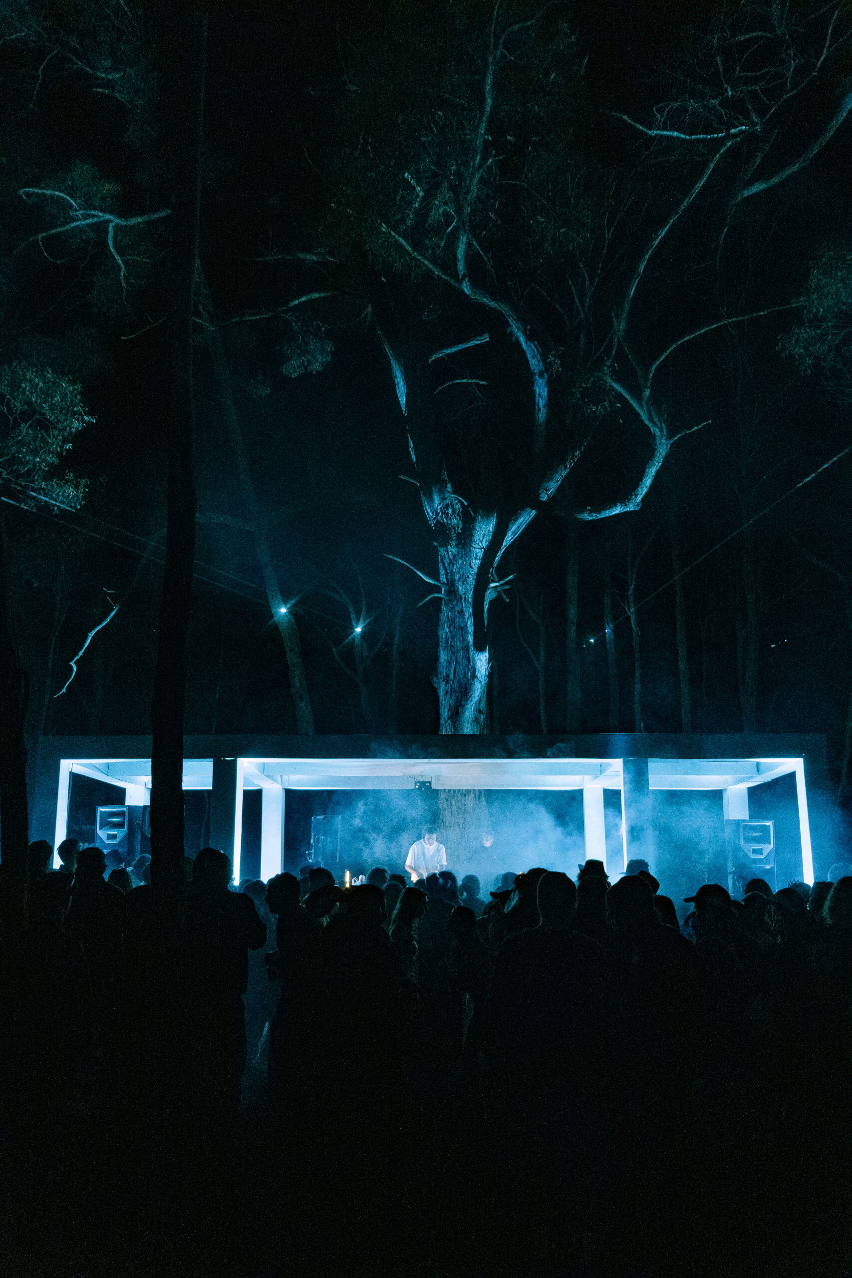 Luminous Festival 2026 Night